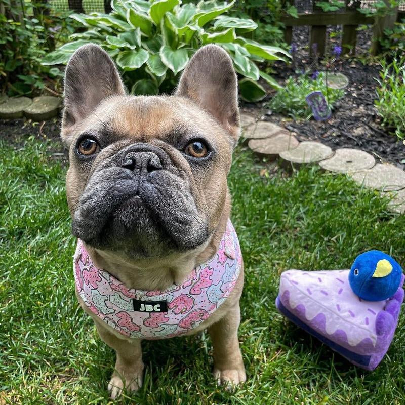Pink Animal Cracker Adjustable Harness
