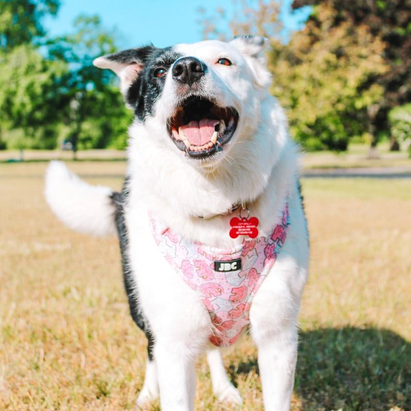 Pink Animal Cracker Adjustable Harness