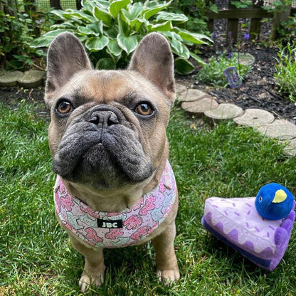 Pink Animal Cracker Adjustable Harness