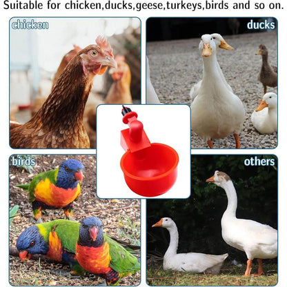 Pack 10 Chicken Waterer Cups,Chicken Feeder Cup for Chicken Duck Turkey ,3/8 Inch Thread Automatic Filling,Solution for Poultry Watering (10)