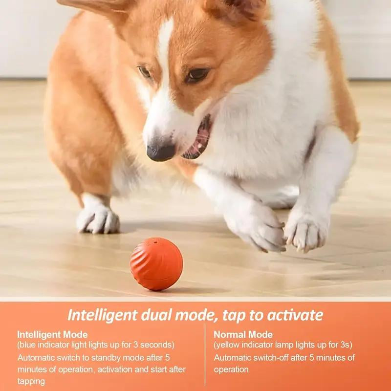FMW Interactive Dog Toys Dog Ball,[2025 Newly Upgraded] Durable Motion Activated Automatic Rolling Ball Toys For/Small/Medium/Large Dogs,Usb Rechargeable